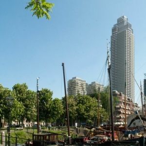 66 m lange palen voor Zalmhaventoren